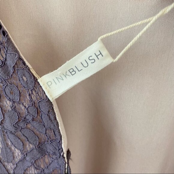 Pinkblush lace midi  dress with crew neck and v-back - Picture 10 of 11